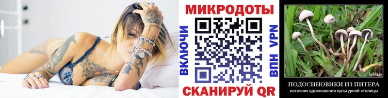 Псилоцибиновые грибы GOLDEN TEACHER купить Кирсанов